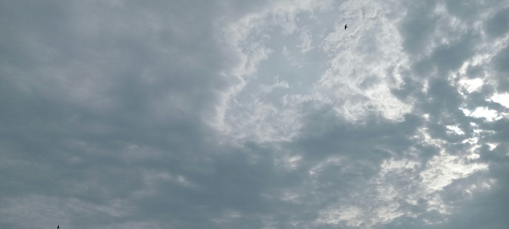 新颱風麗琵生成，香港天氣持續不穩